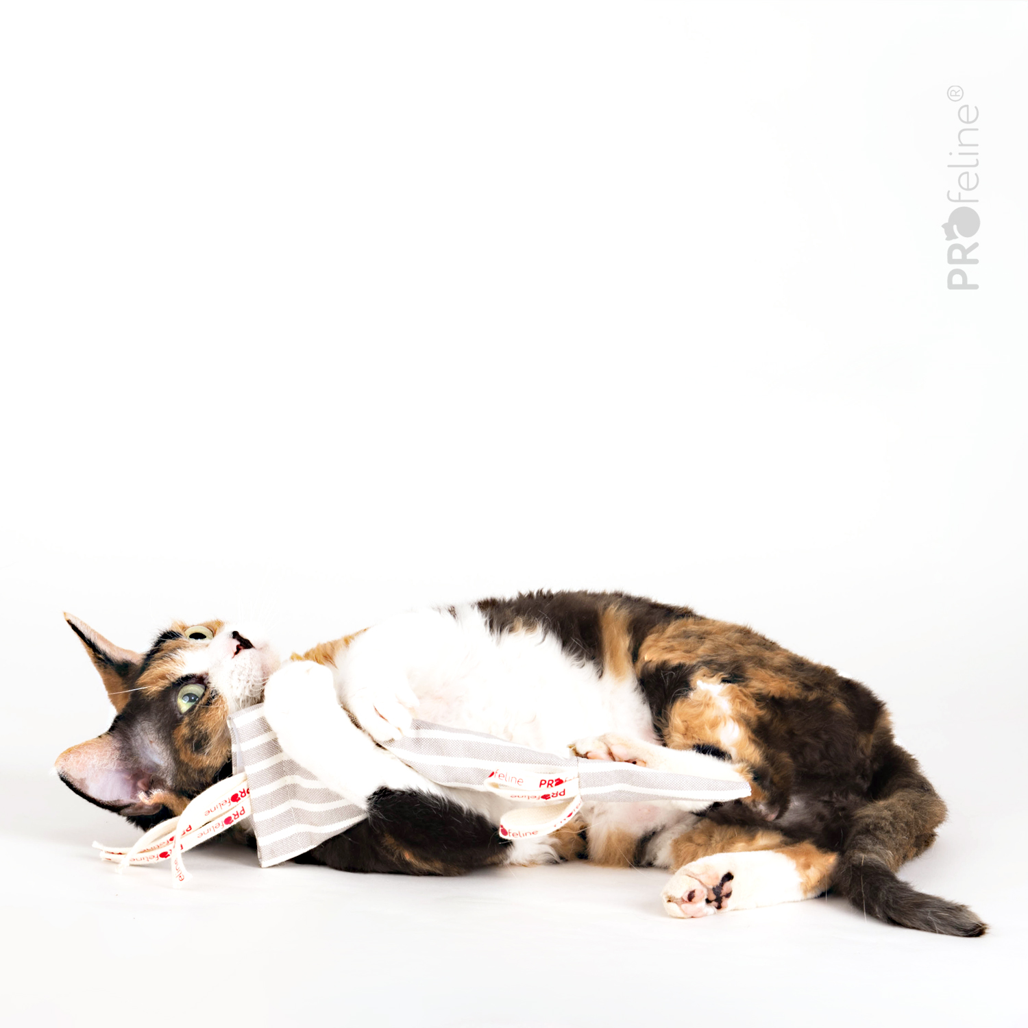 Organic Cotton Sir Mouselot - zum Befüllen Cat Toy refillable washabel Sie Mouselot