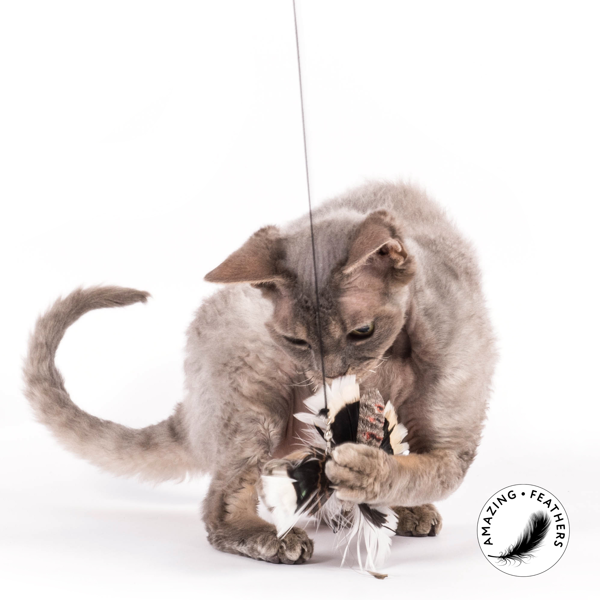 cat-toy-feathers-SP195FM-big-fluttermoth-refill-1