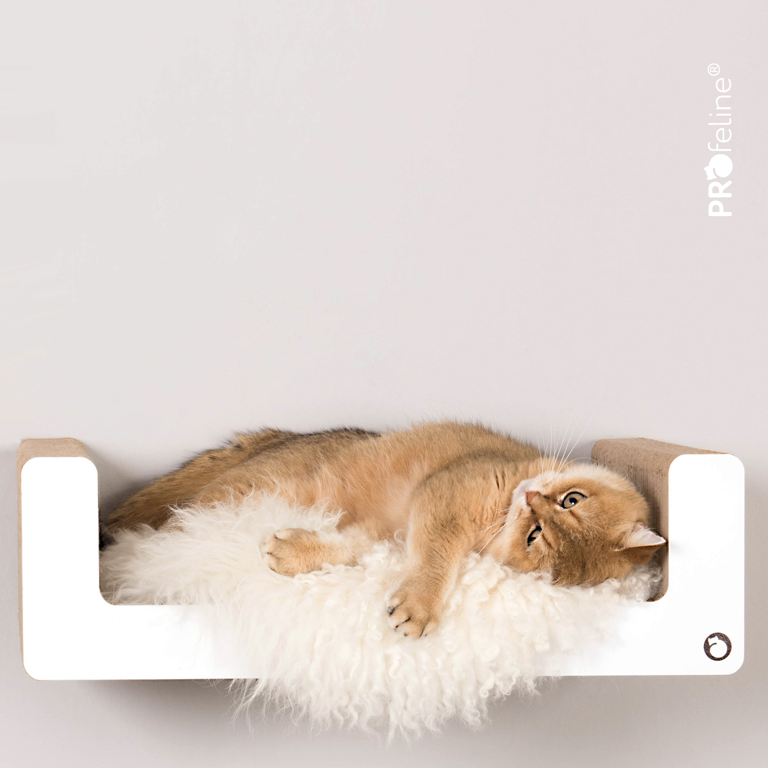 Wand Kratzmöbel Gaja Katzen Wandliege aus Pappe