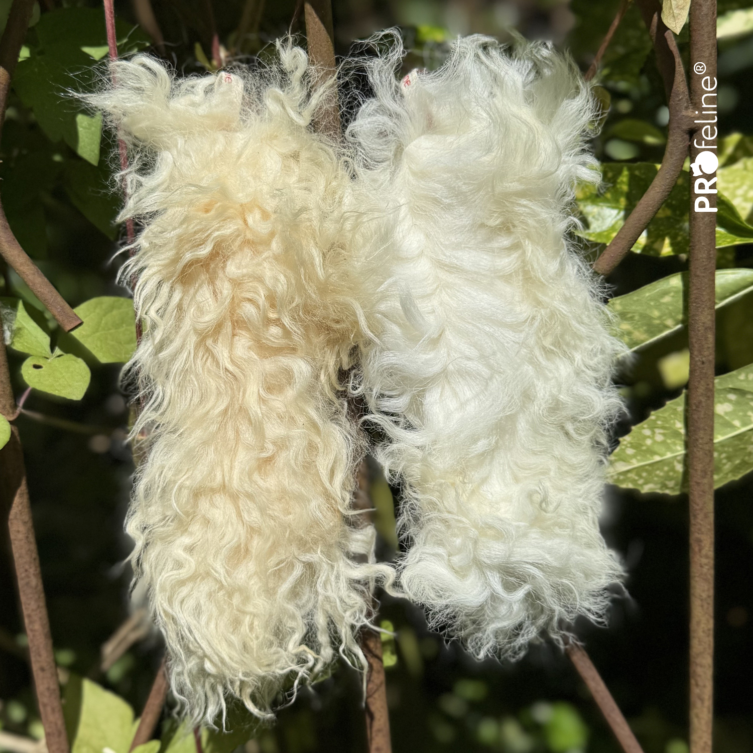 Island Schaffell Anhänger für Katzenangel