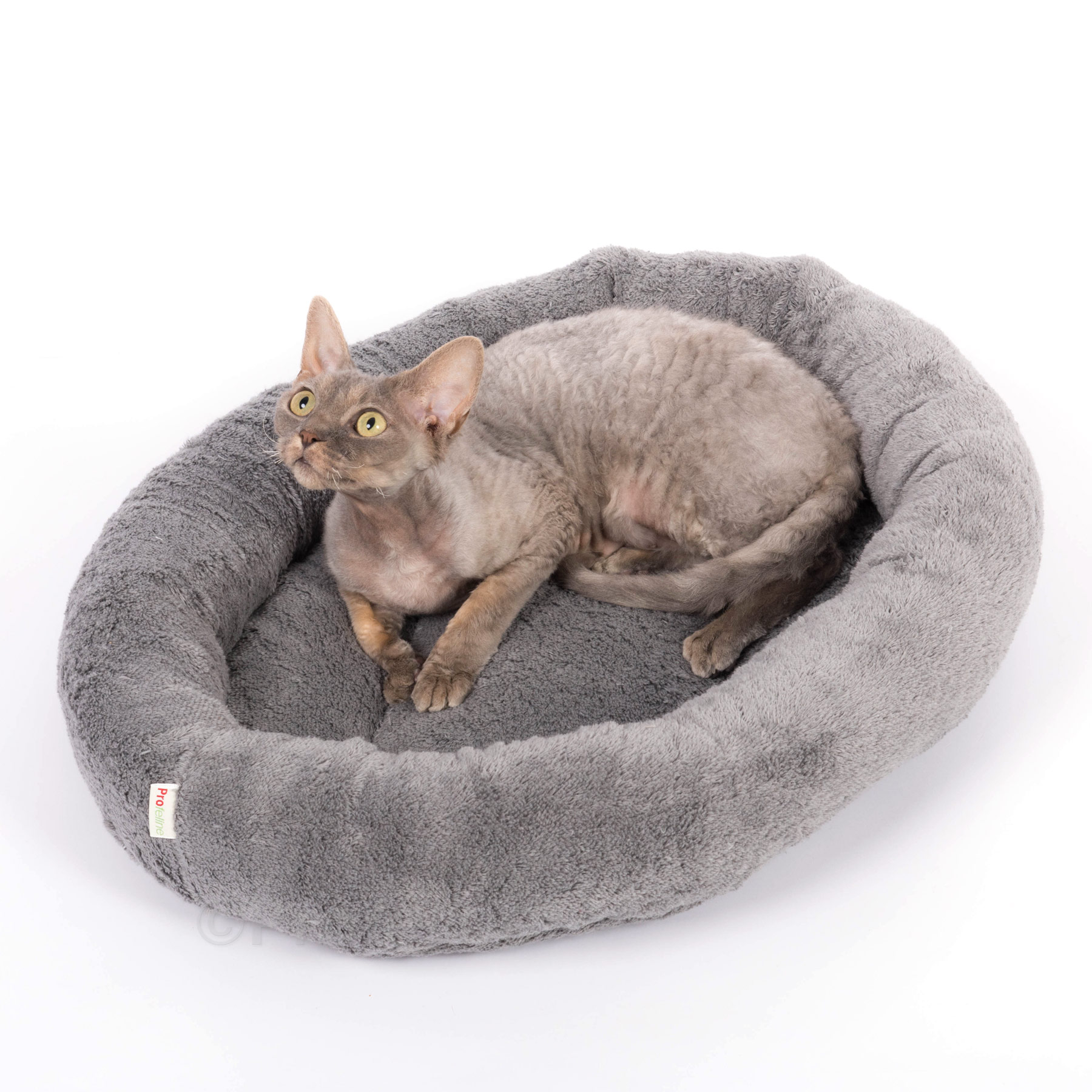 katzenbett_feline_oval_cs_katze1 Katzenbett Feline oval 58 x 46 Classicsilber