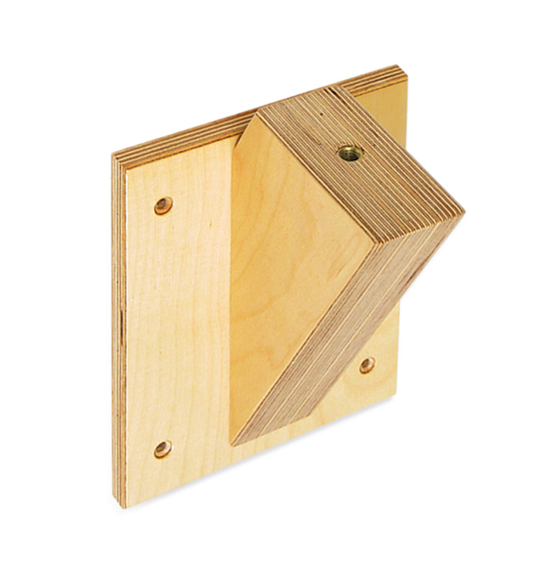 Holzfarbe Bike / Wood finish Birch