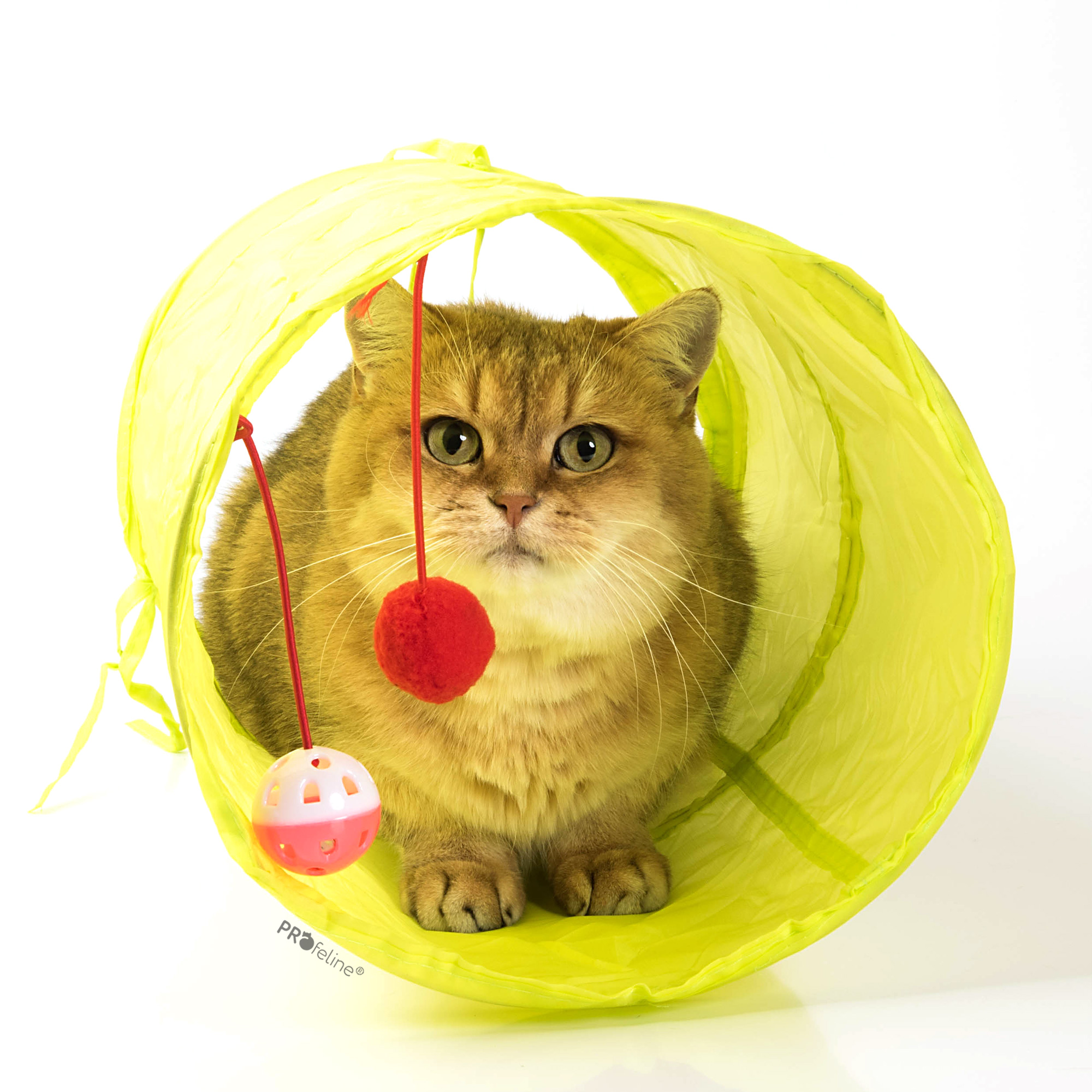cat-tunnel-yellow-50cm Cat Fun Tunnel Gelb