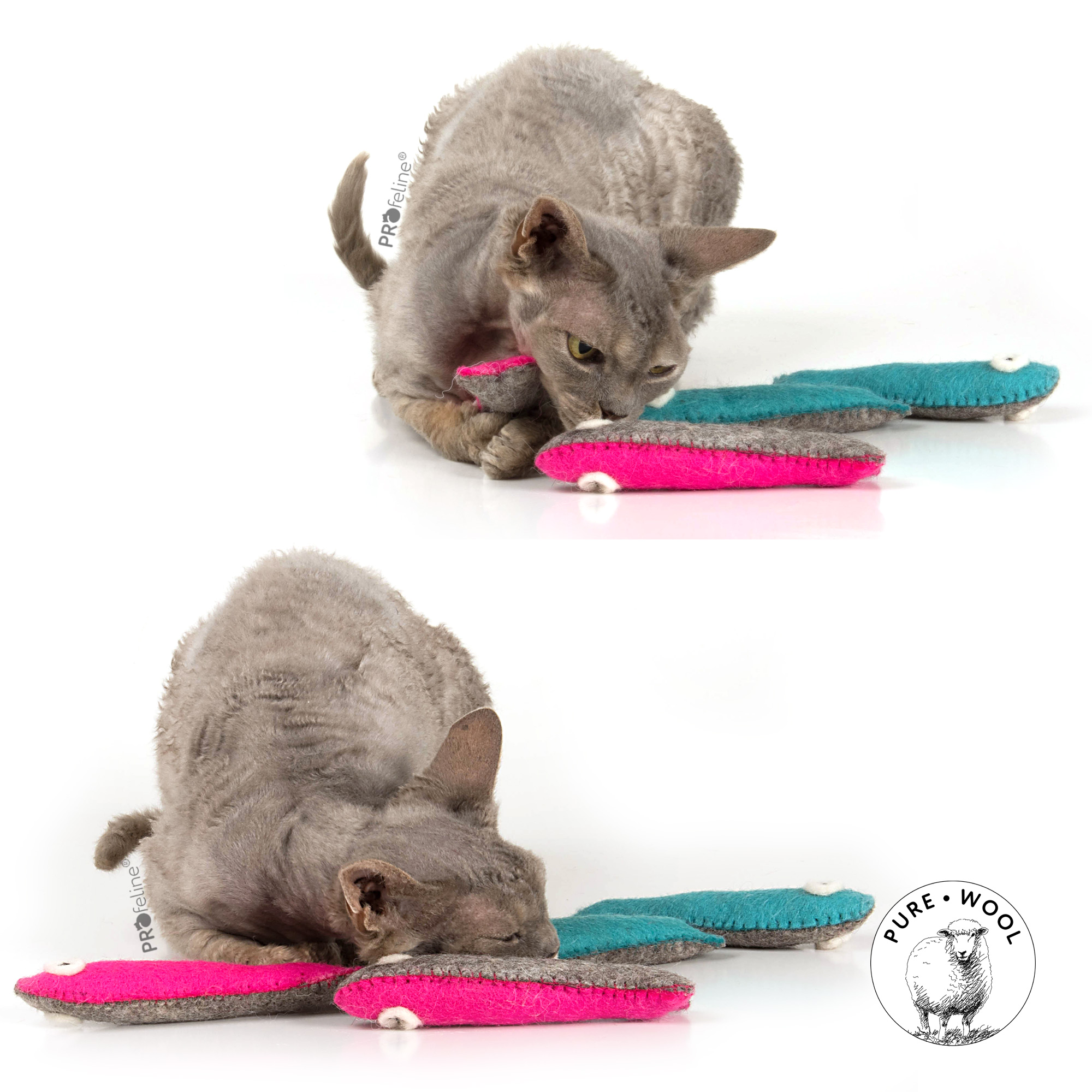 cat-toy-felted-sardines