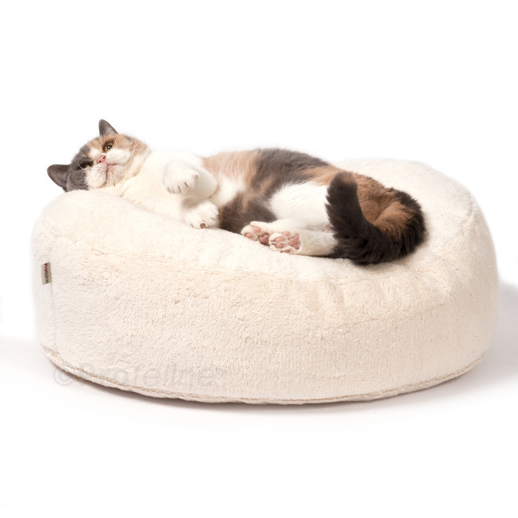 Katzenbett hoch