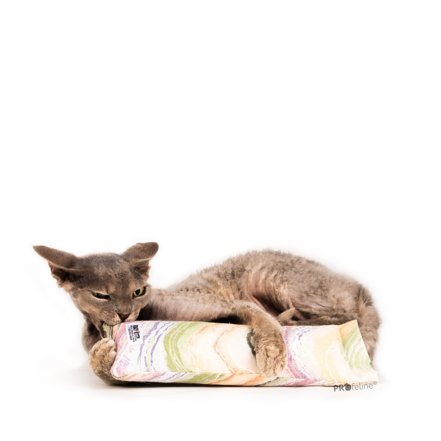 Krazy Kitty - Wiederbefüllbare Snuggle Stick Krazy Kitty wiederbefüllbares Katzenspielzeug aus Kanada