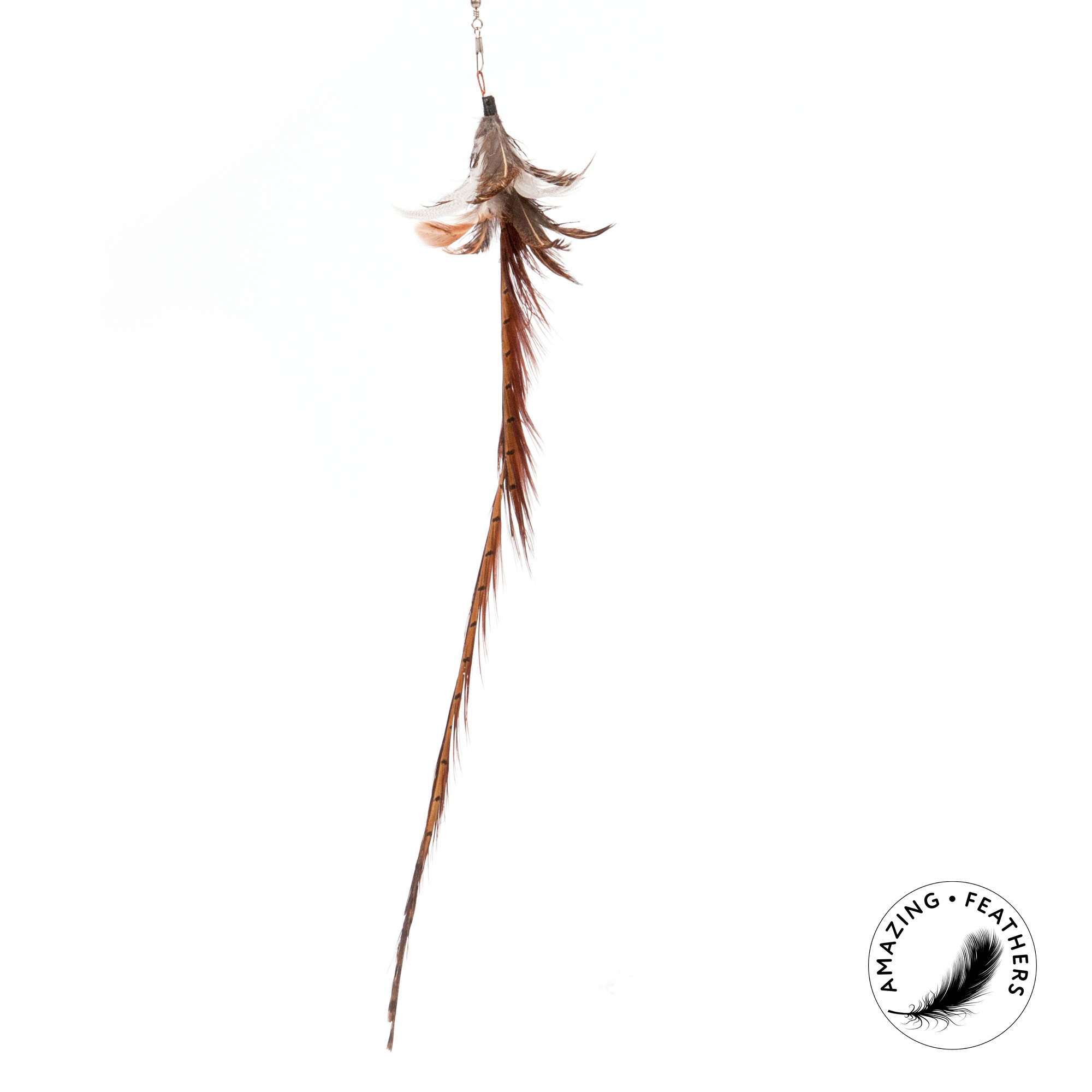 cat-toys-pheasant-longtail-refill-SSP194PL-2 Profeline - Pheasant Longtail Anhänger