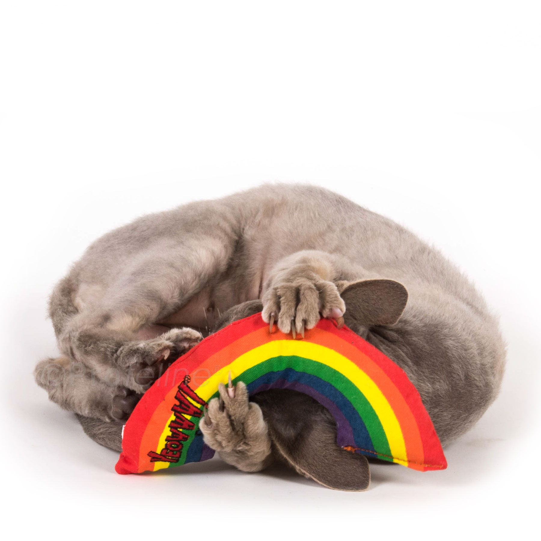Katzenspielzeug Yeoww Rainbow