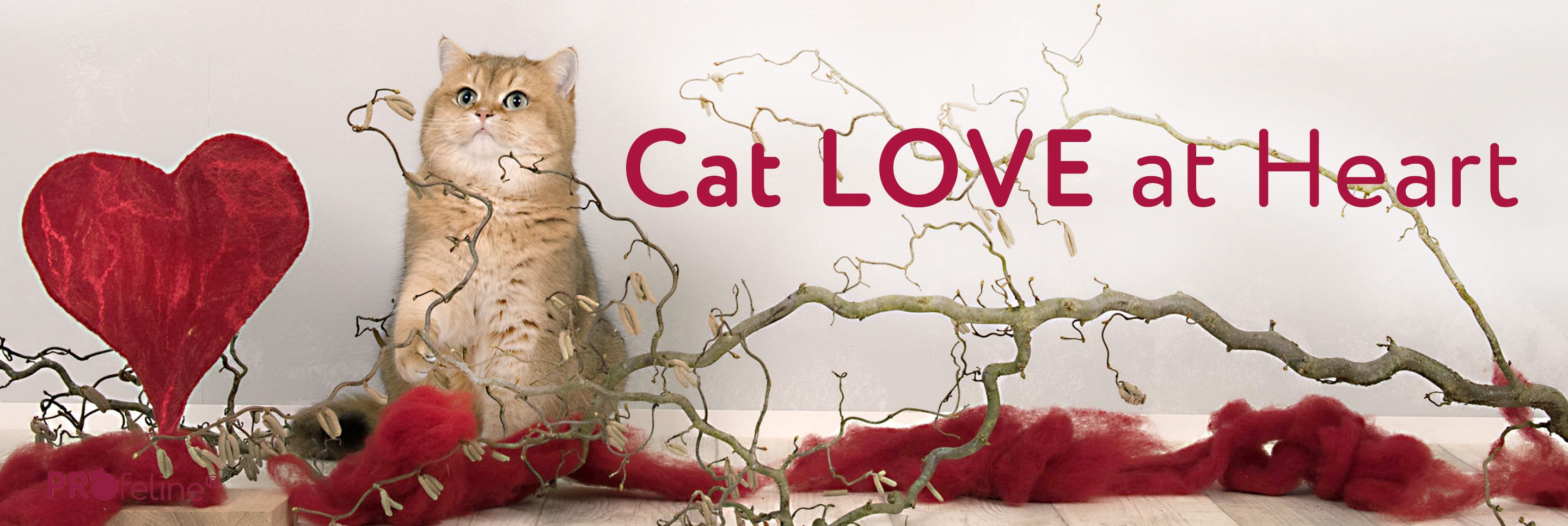 Katzenshop mit Liebe zur Katze