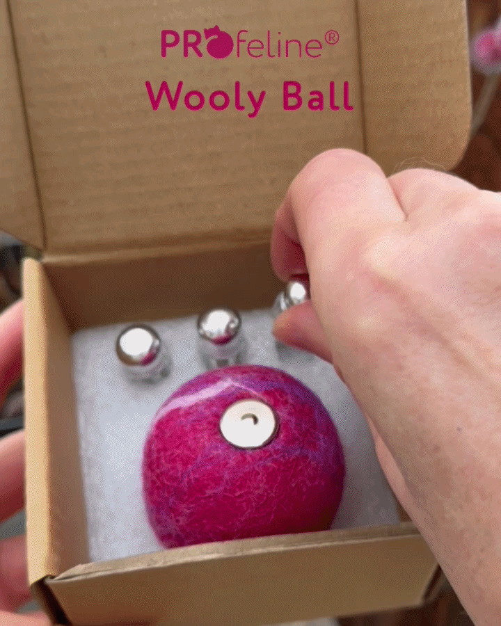Wooly Ball - Katzen Filzball mit Duftfach