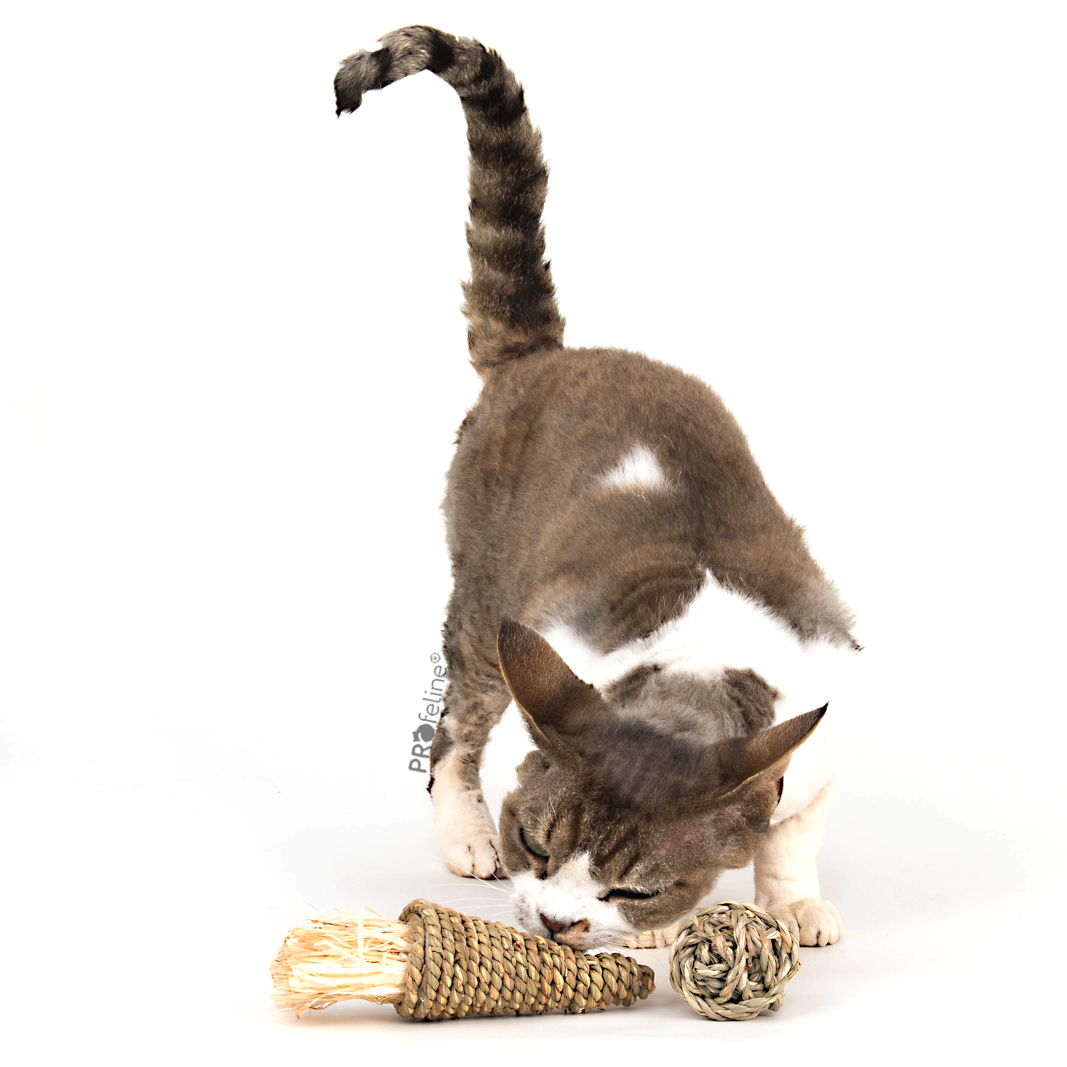 Naturspielzeug für Katzen Ball und Kegel