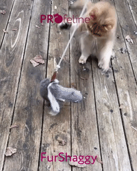 Profeline - FurShaggy Anhänger Kaninchenfell Anhänger für Katzenangeln