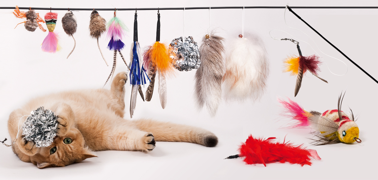 katzenspielzeug_frenzy_cat_toy_1260