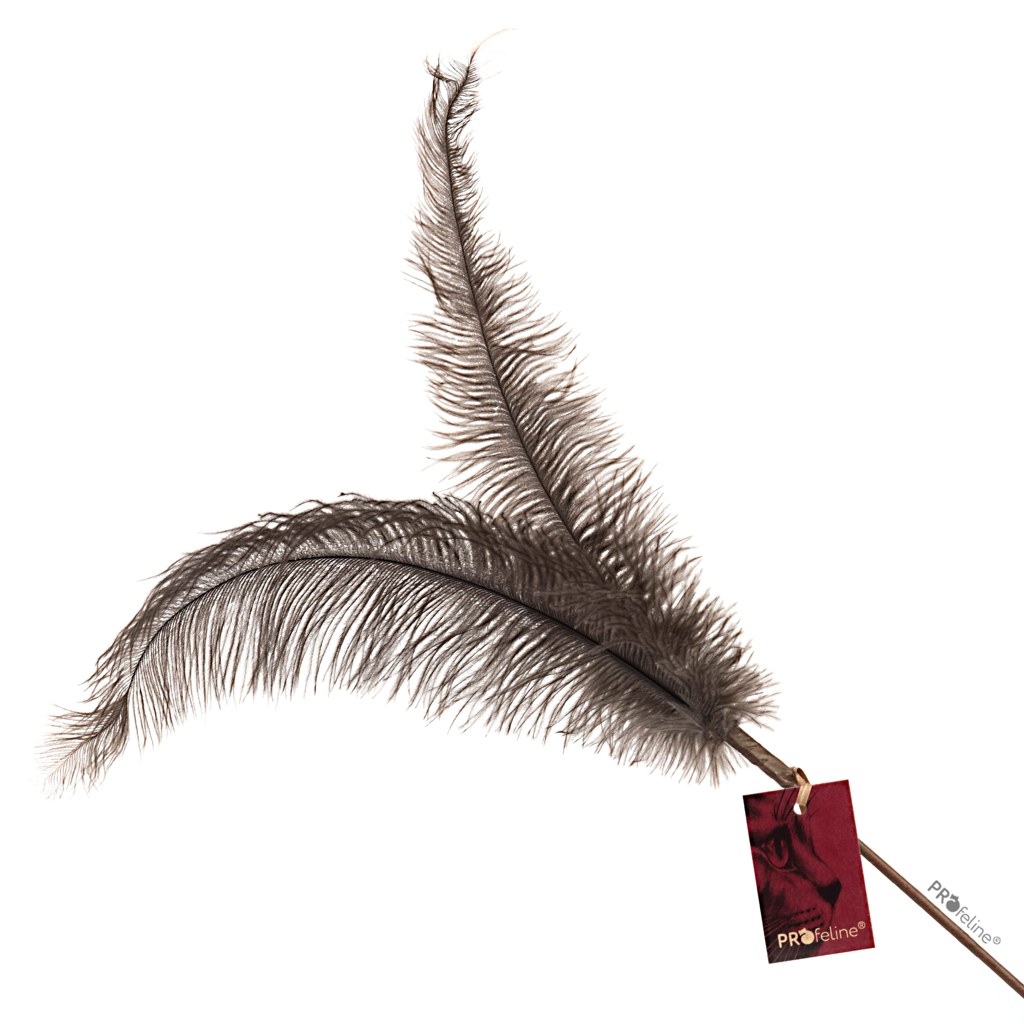 Katzen Federwedel Ostrich