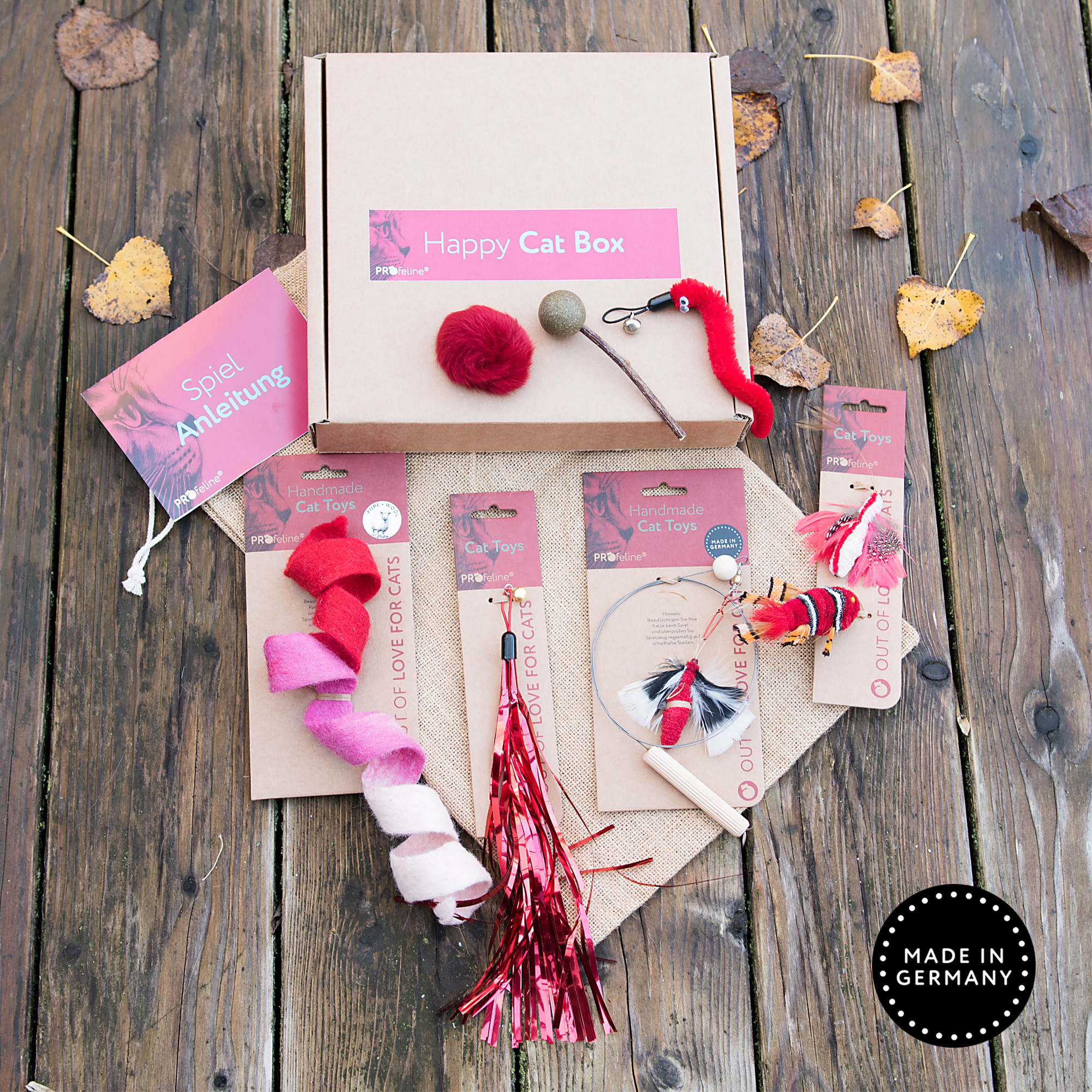 Happy Cat Box Weihnachtsgeschenk