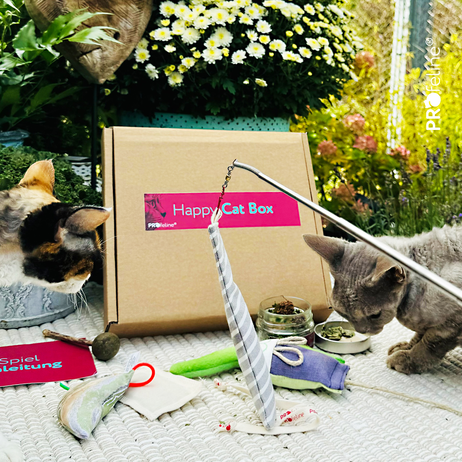 Profeline Happy Cat Box - HerbalToys Happy Cat Box Katzen Kräuter aus den USA