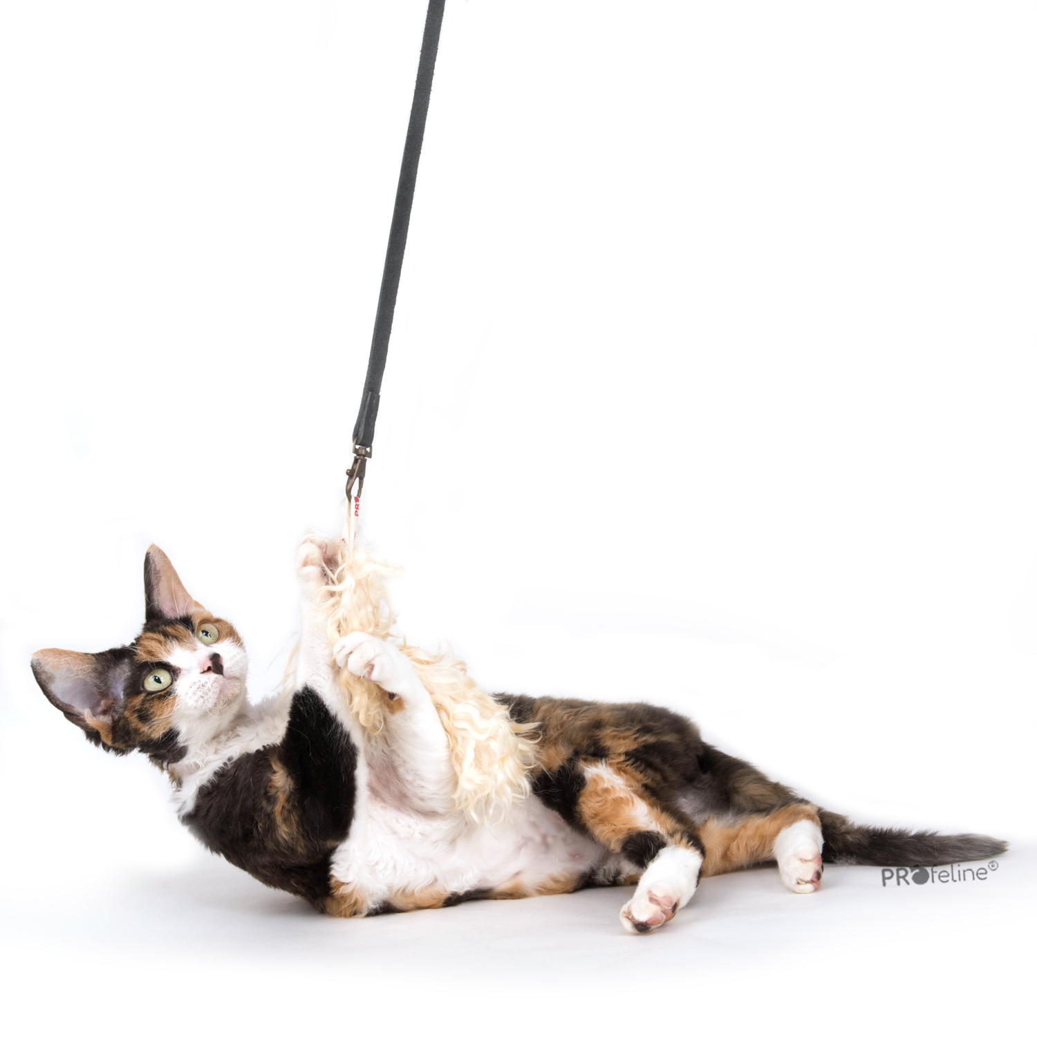 Curly Goat Fur Anhänger Ziegenfell Anhänger für Katzenangel