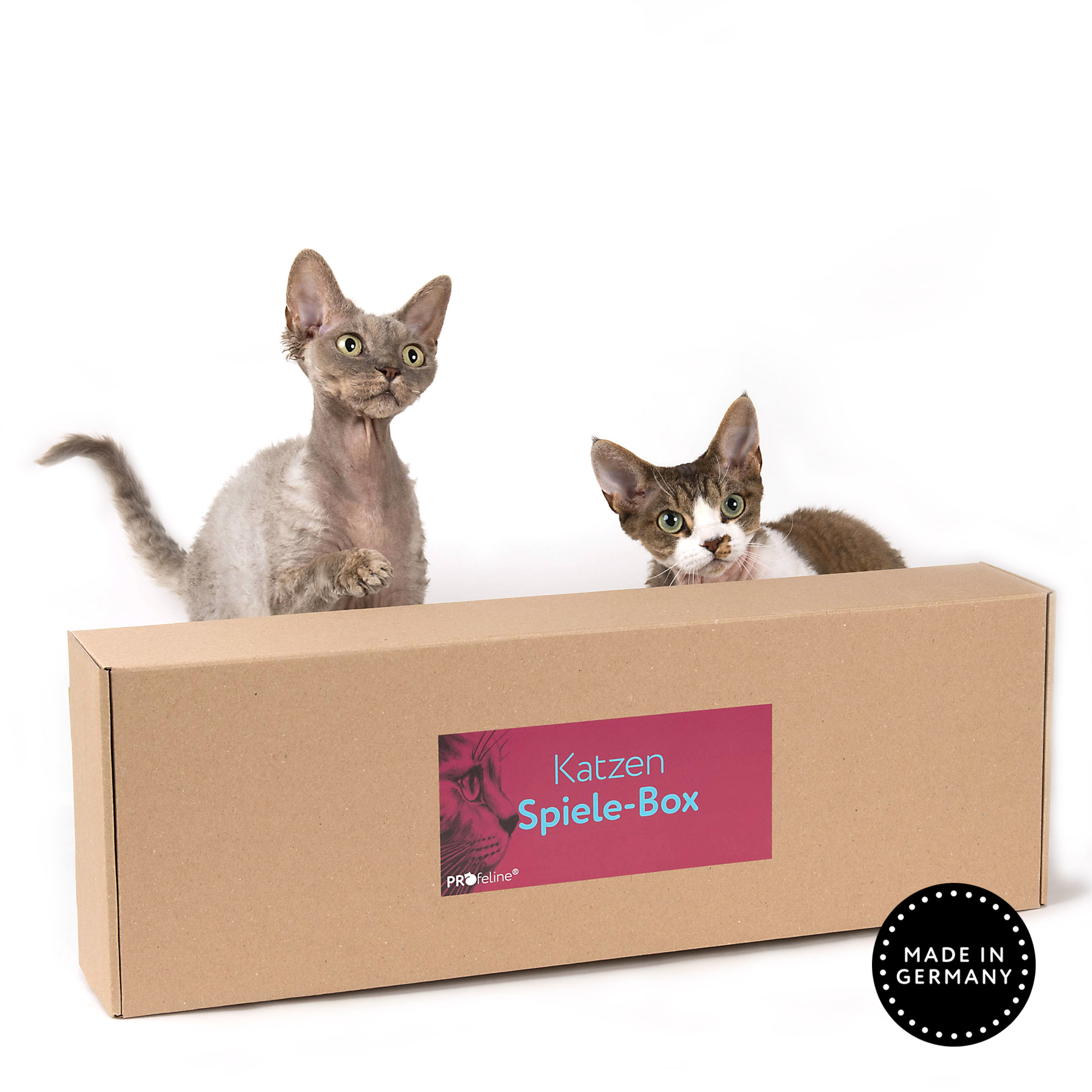 Profeline - Katzen Spiele-Box Katzen Überraschnugs Box angebot