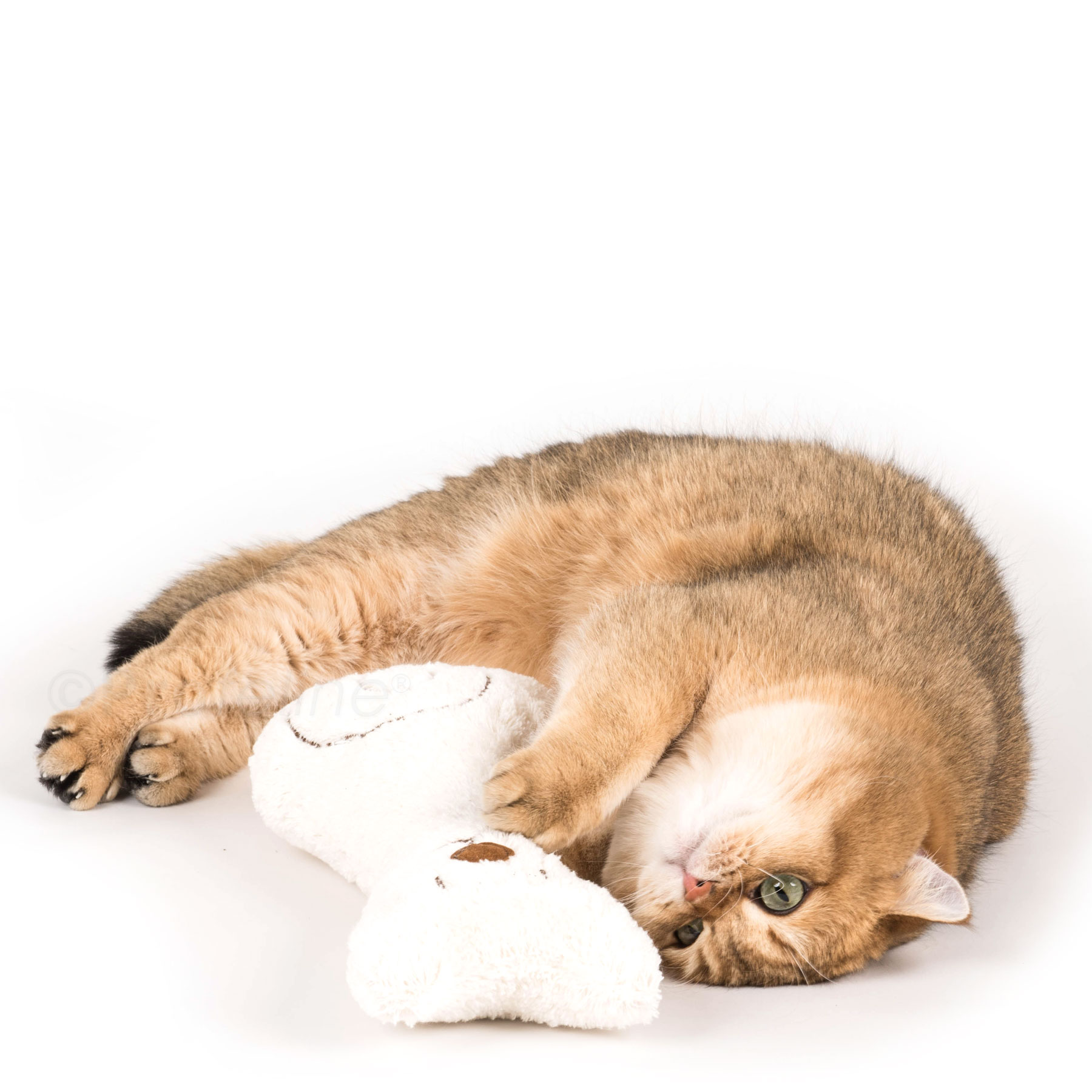 Catnip Buddy Katzen Stinkekissen