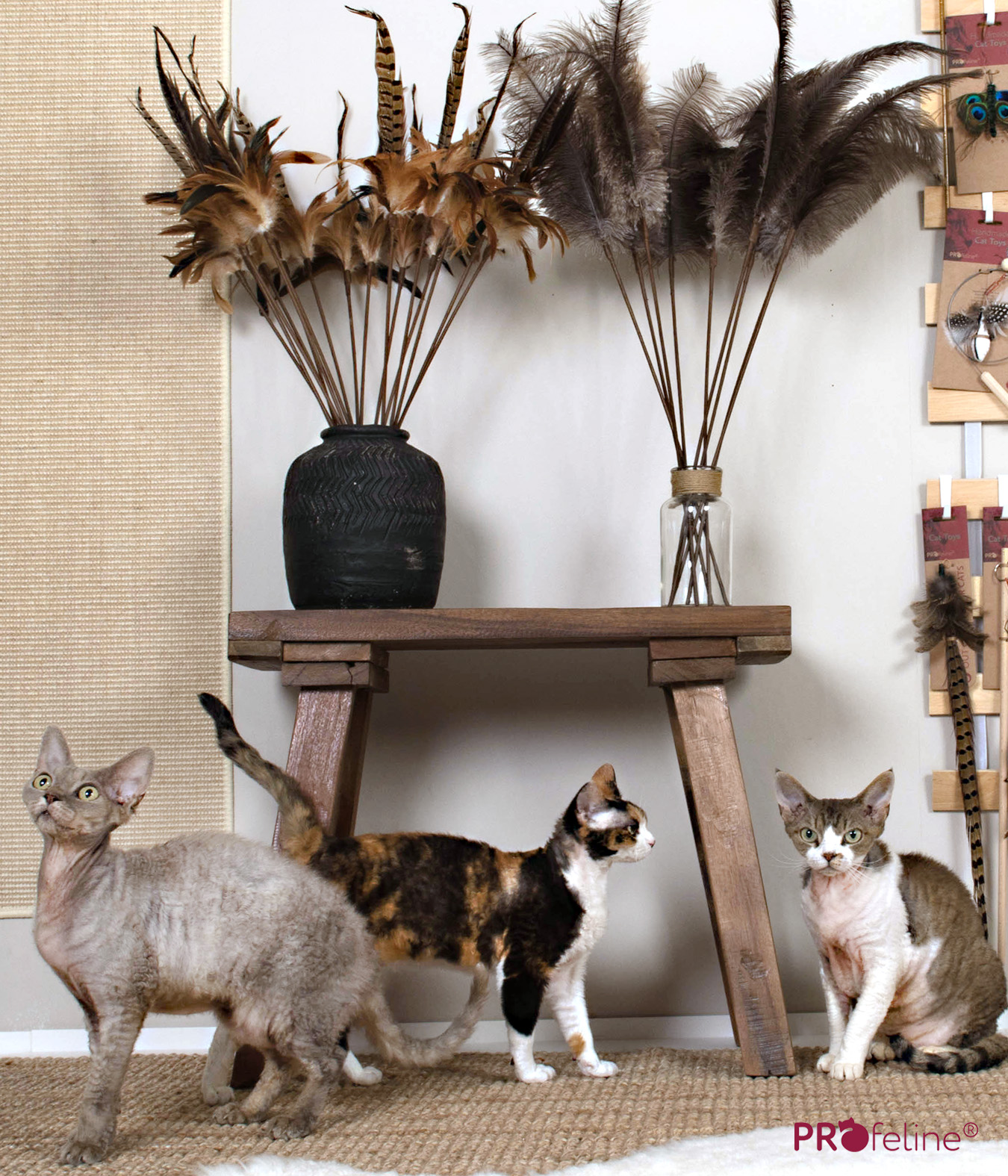 Katzen Federwedel Katzenspielzeug Shop grosse Auswahl