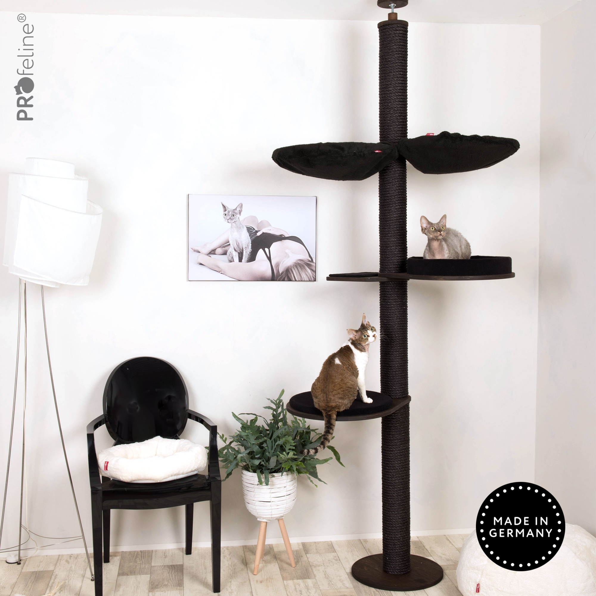 kratzbaum-modern-anouk-schwarz Deckenspanner Modell Anouk