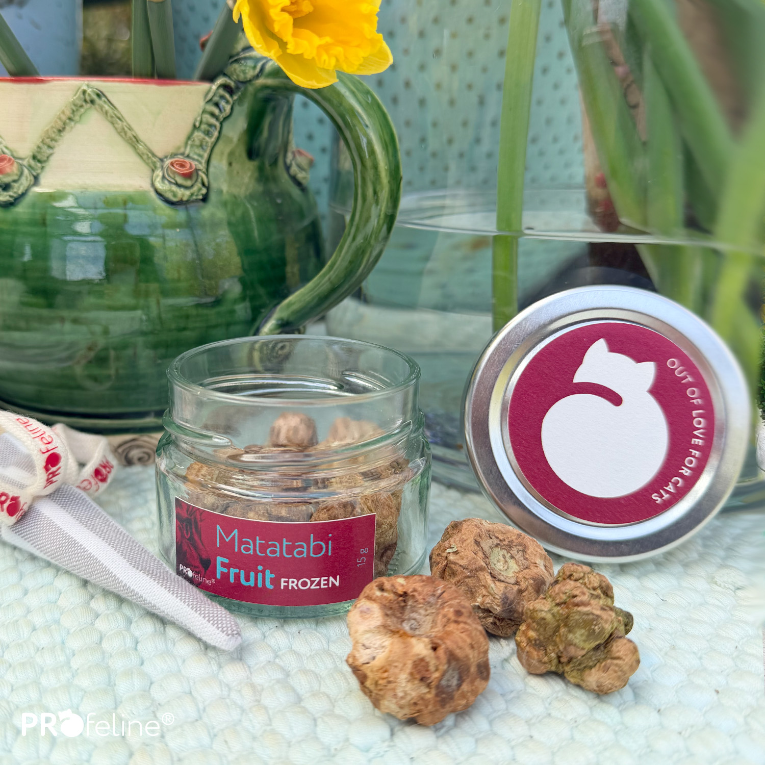 Beliebter Katzenduft Matatabi Früchte Frozen