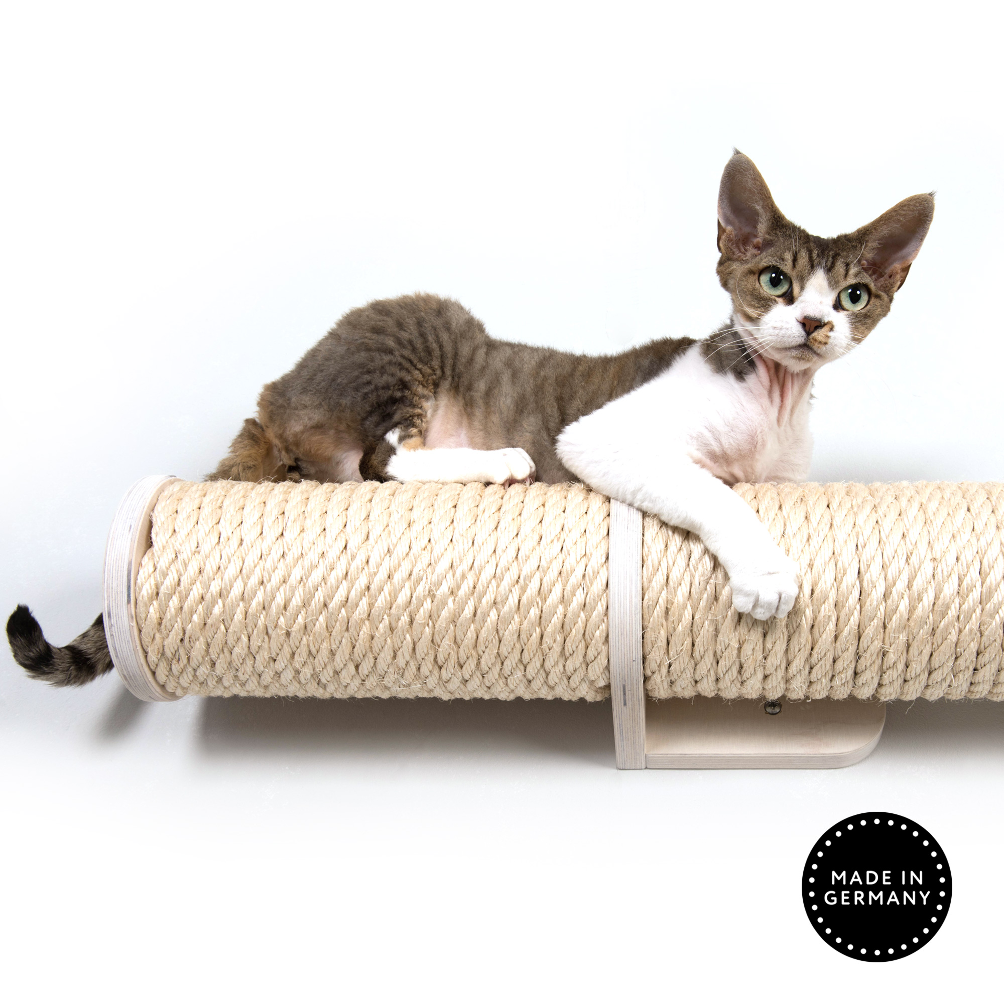 Modul WB5 Wandbefestigung kurz Katzensteg Wand