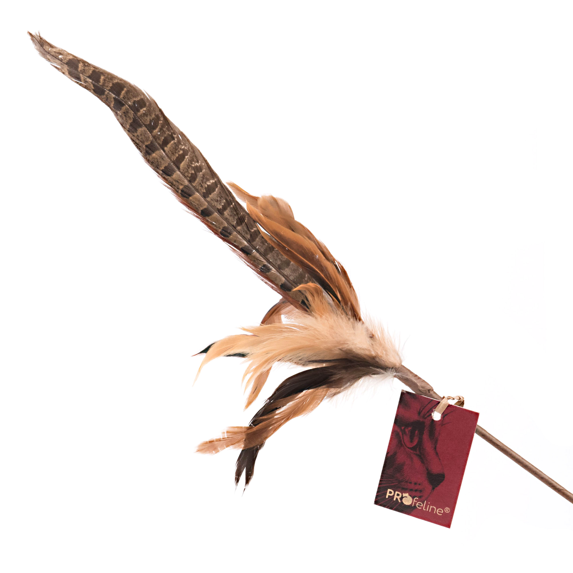 Federwedel Pheasant Feather Katzen Federwedel biegsam Fasan