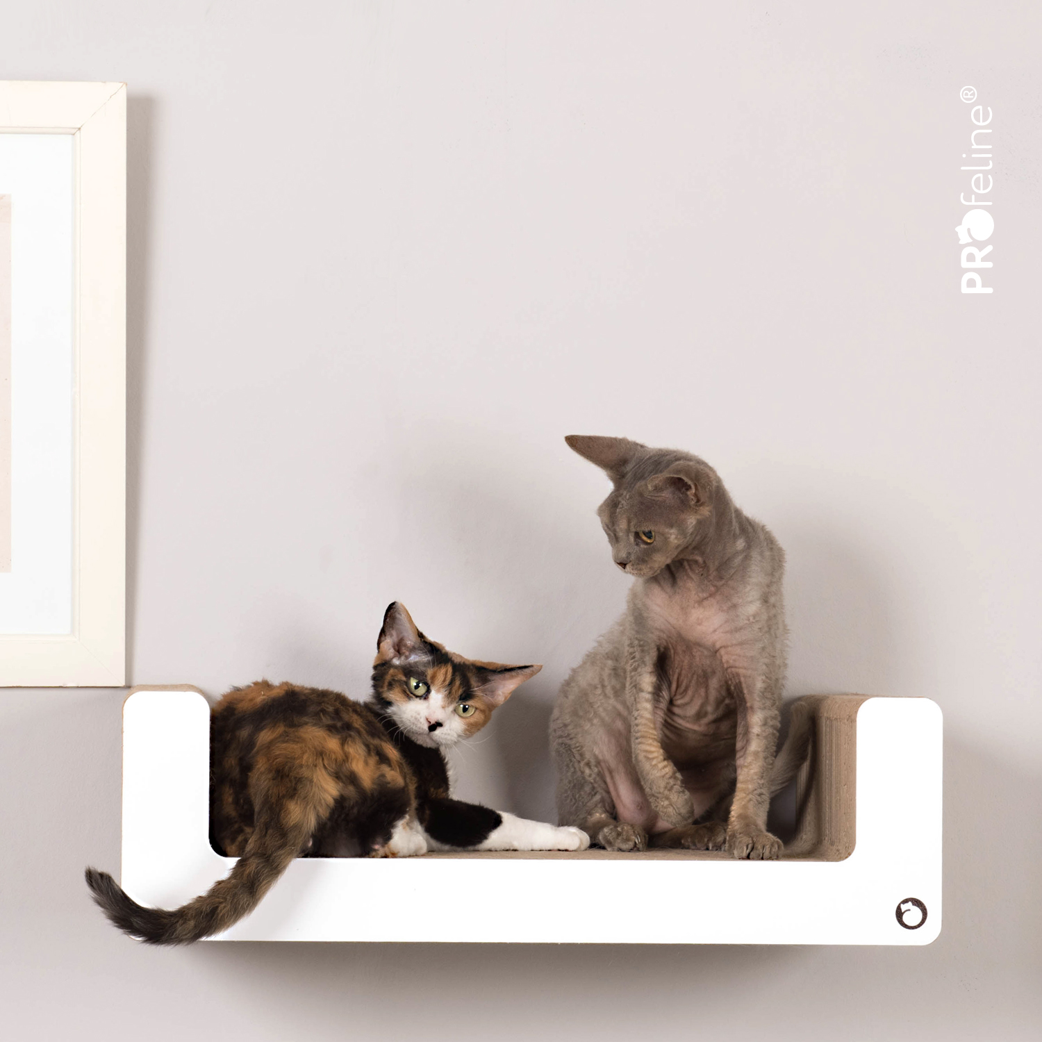 Wand Kratzmöbel Gaja Katzen Wandmöbel aus Pappe