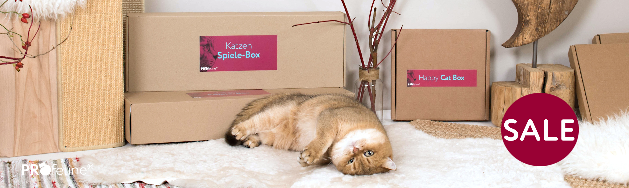 Katzen Spielzeug Box