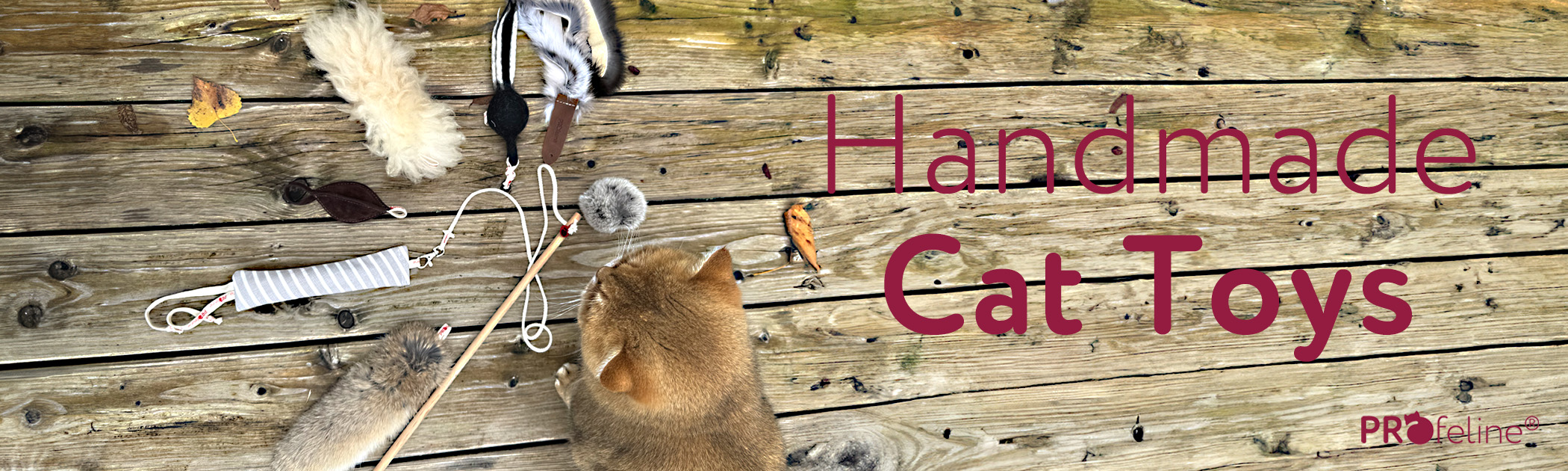 Katzenshop für Katzenspielzeug