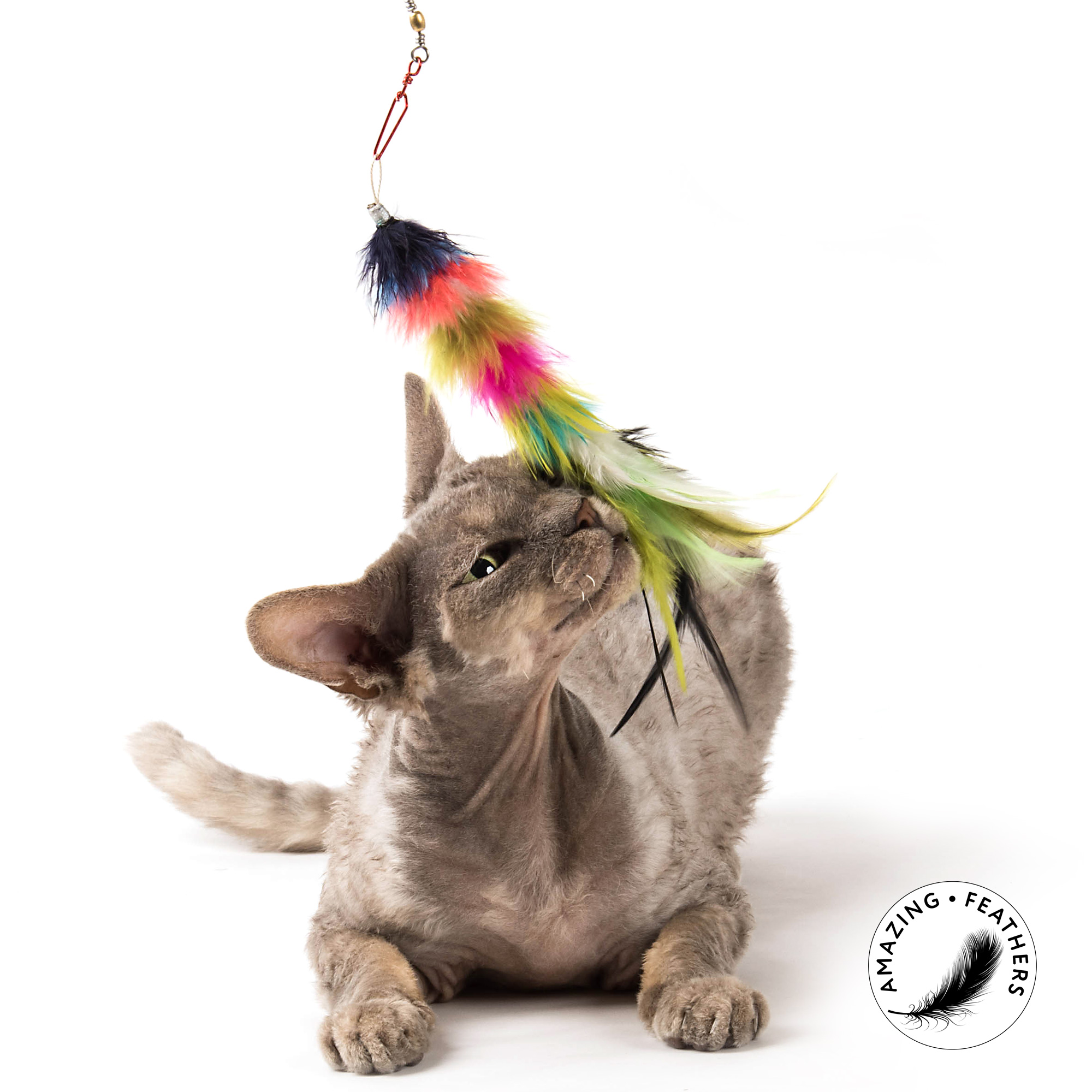 cat-toy-refill-colorful-set-marabou-katze Profeline - Colorful Edition Anhänger-Set