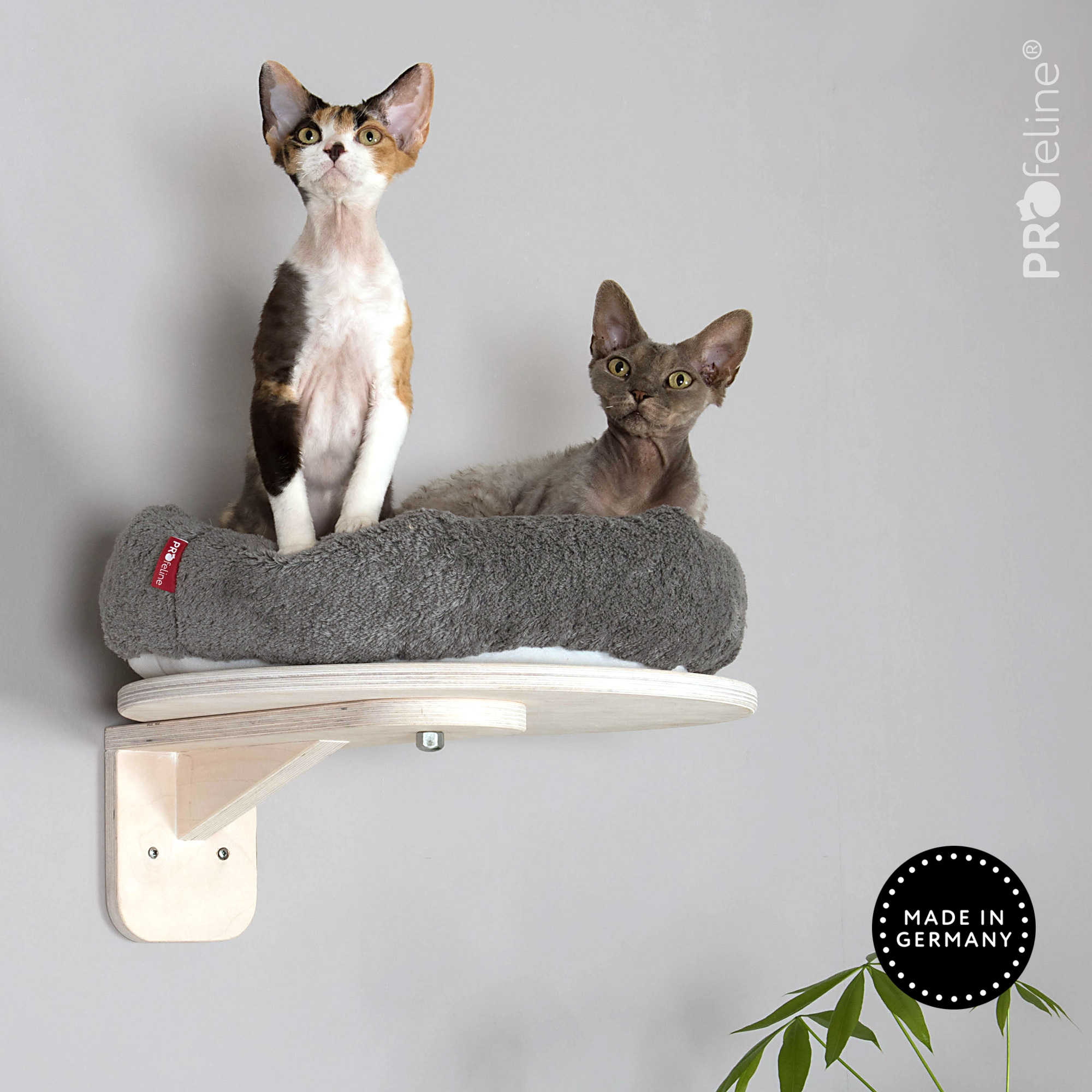 Wandliege Katzenbett Wandliege Katzenbett grau