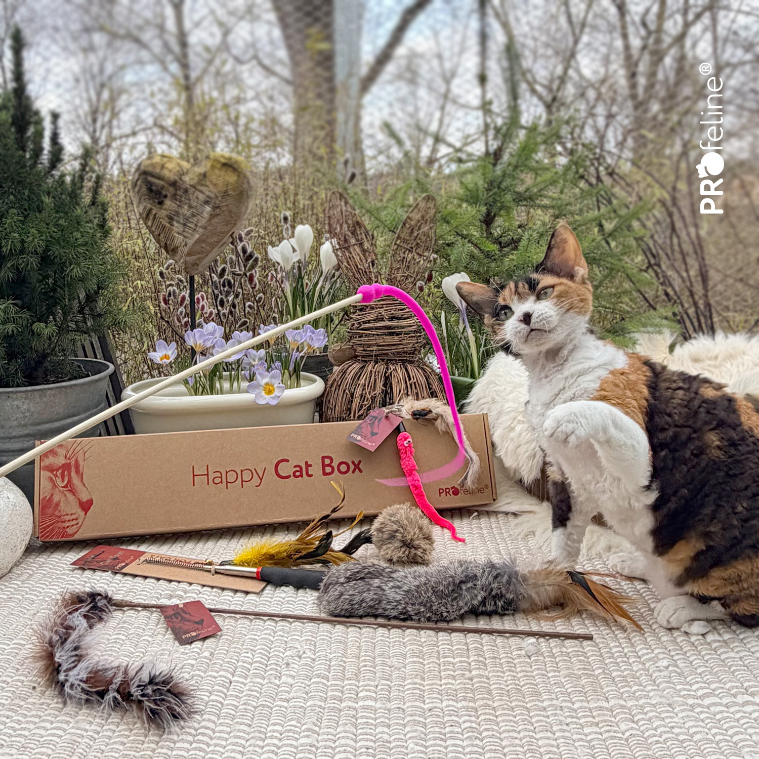 Bestseller Katzenspiezeuge  das Beste und beliebteste