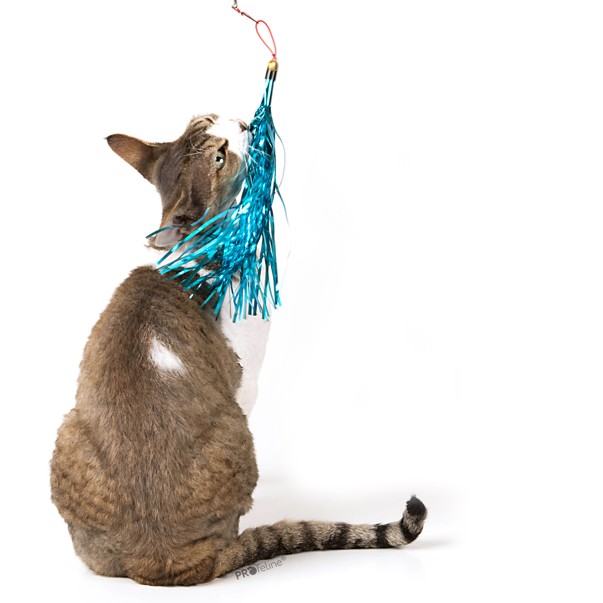 Sparkling Tassle Katzenangeöl Ersatzanhänger glitzer