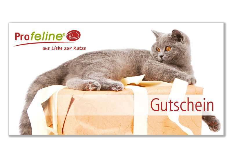 Katzen Gutschein