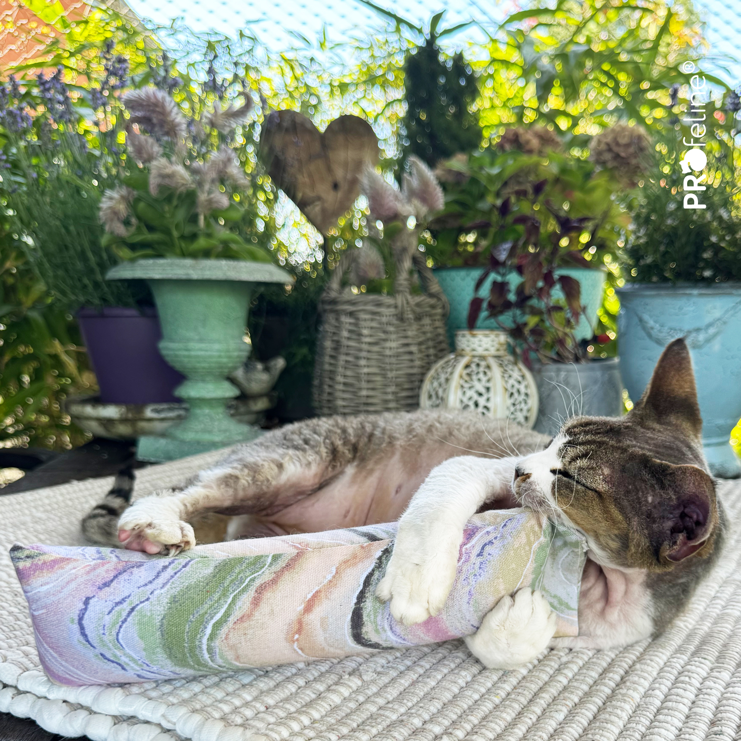 Krazy Kitty - Wiederbefüllbare Snuggle Stick Krazy Kitty Snuggle Stick Cat Toy aus Kanada