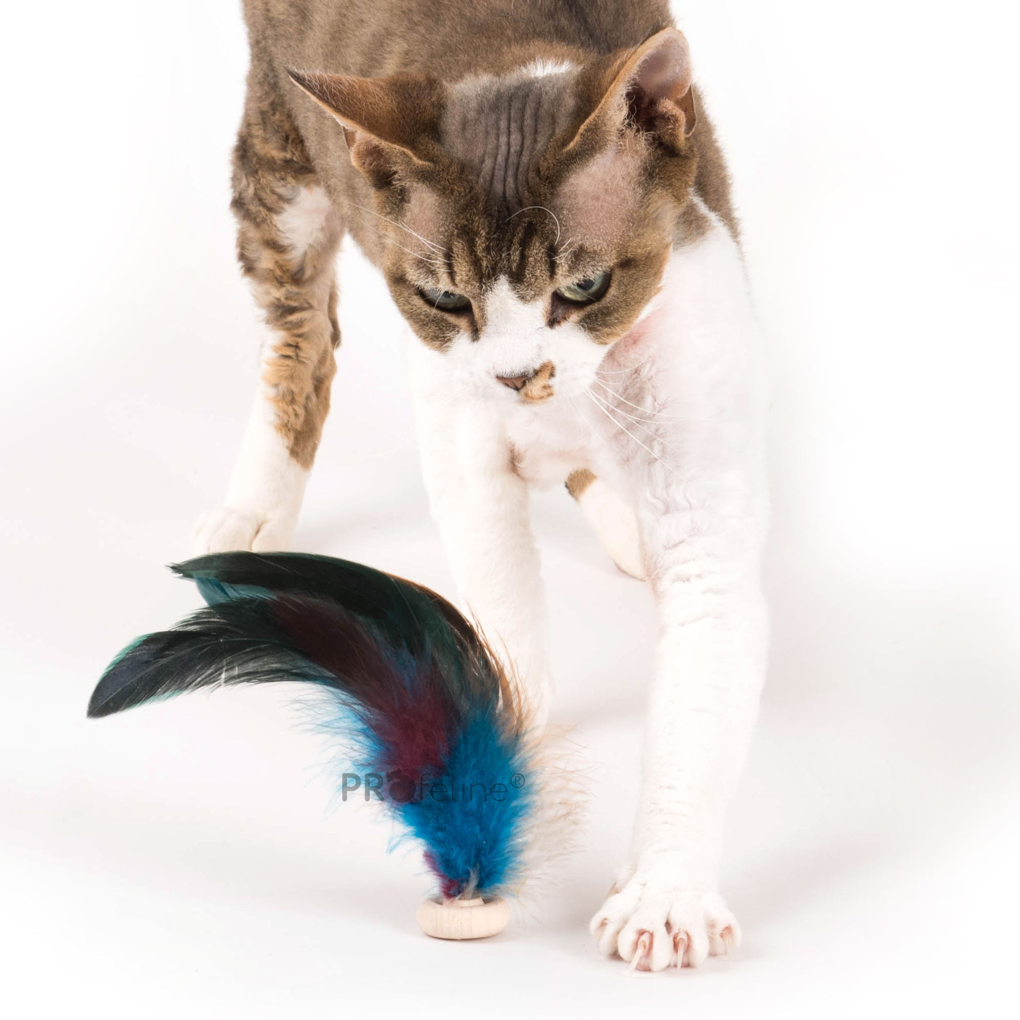 cats-claws-palm-tree-cat-toy