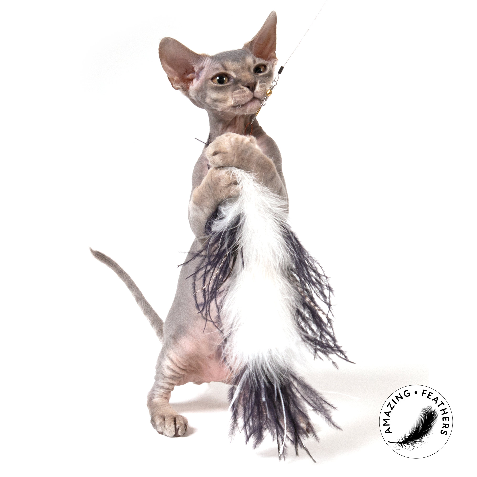 cat-toys-ostrich-refill-SP192OR-1 Ostrich Anhänger