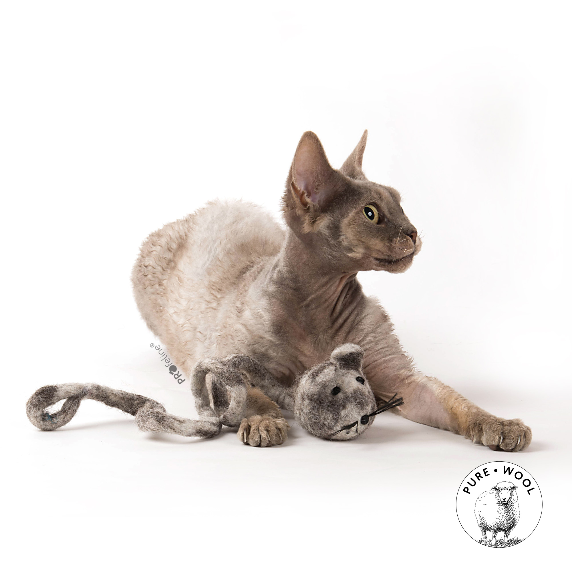 cat-toy-felted-WoollyRattus-boris Profeline - WoollyRattus