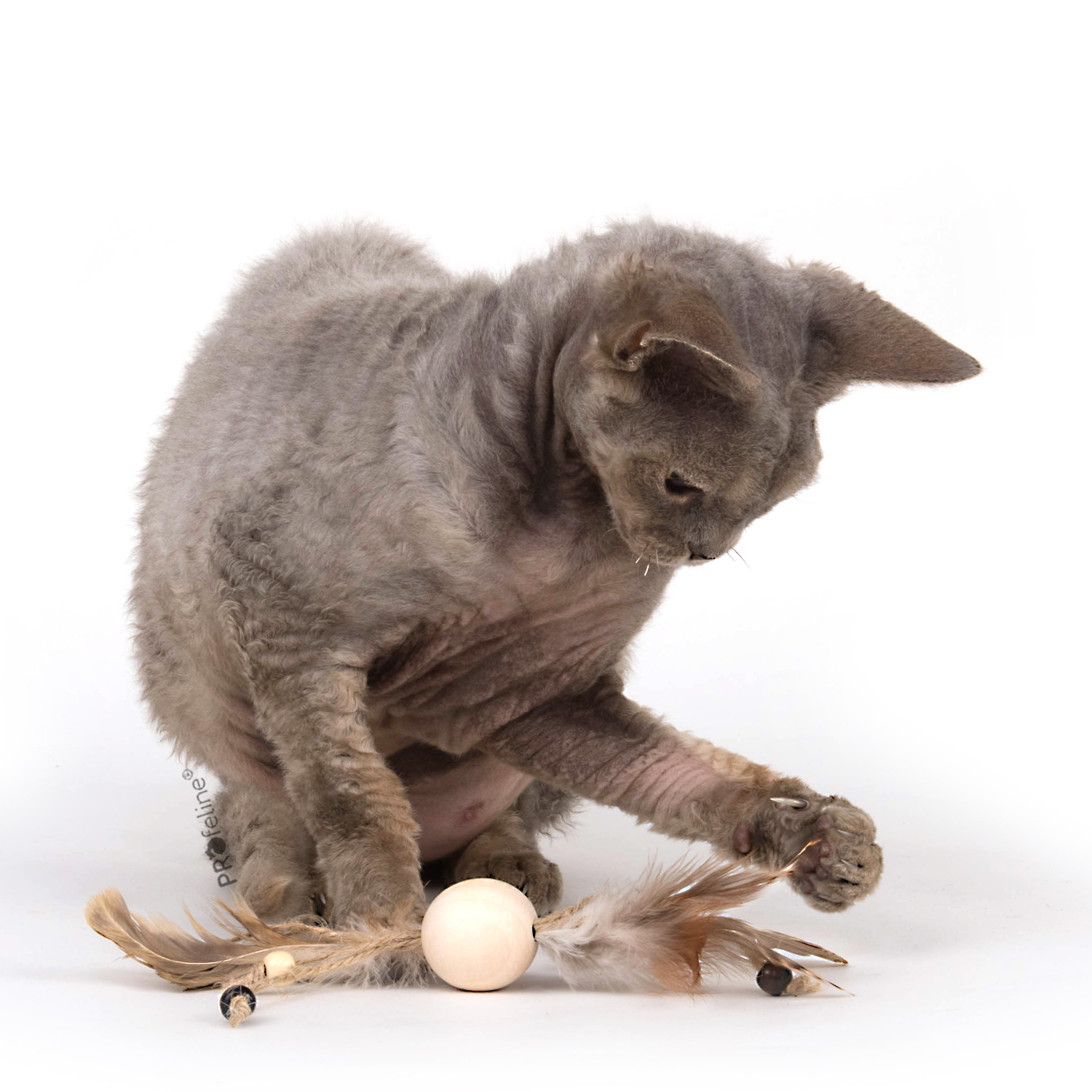 Whiskers Rolling Naturspielzeug Holzkugel mit Federn für Katzen