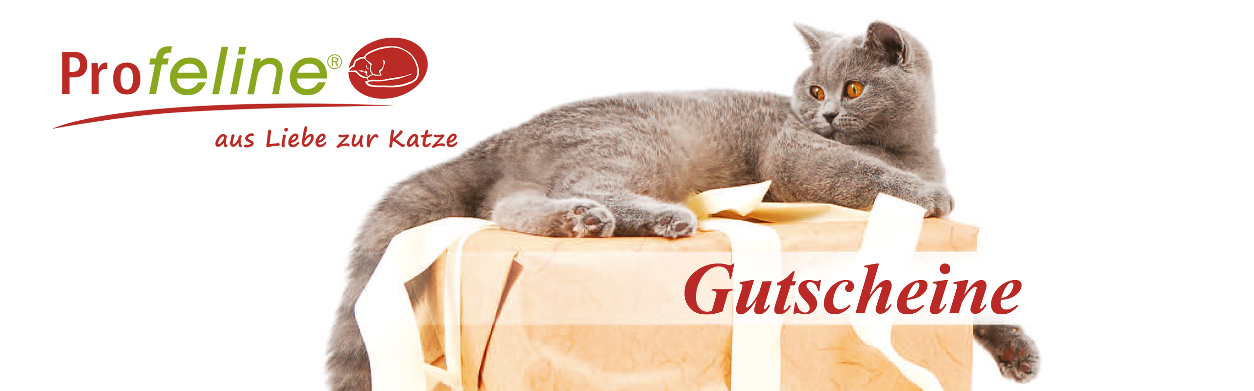 profeline_katzenshop_gutscheine562ce3adb4580