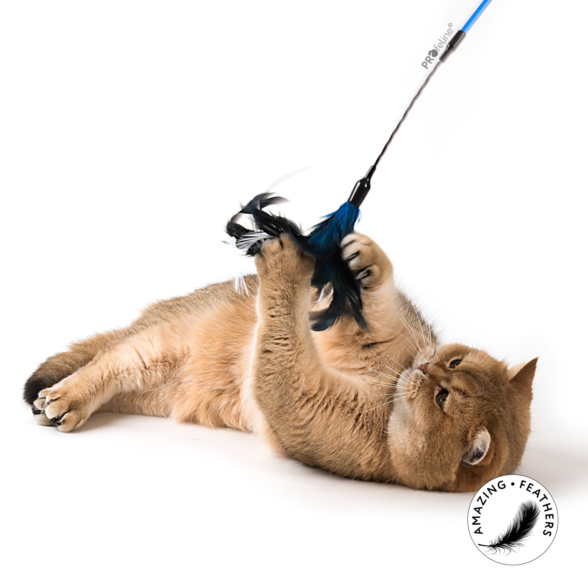 Katzenwedel Feather Dancer Katzen Federtänzer blau