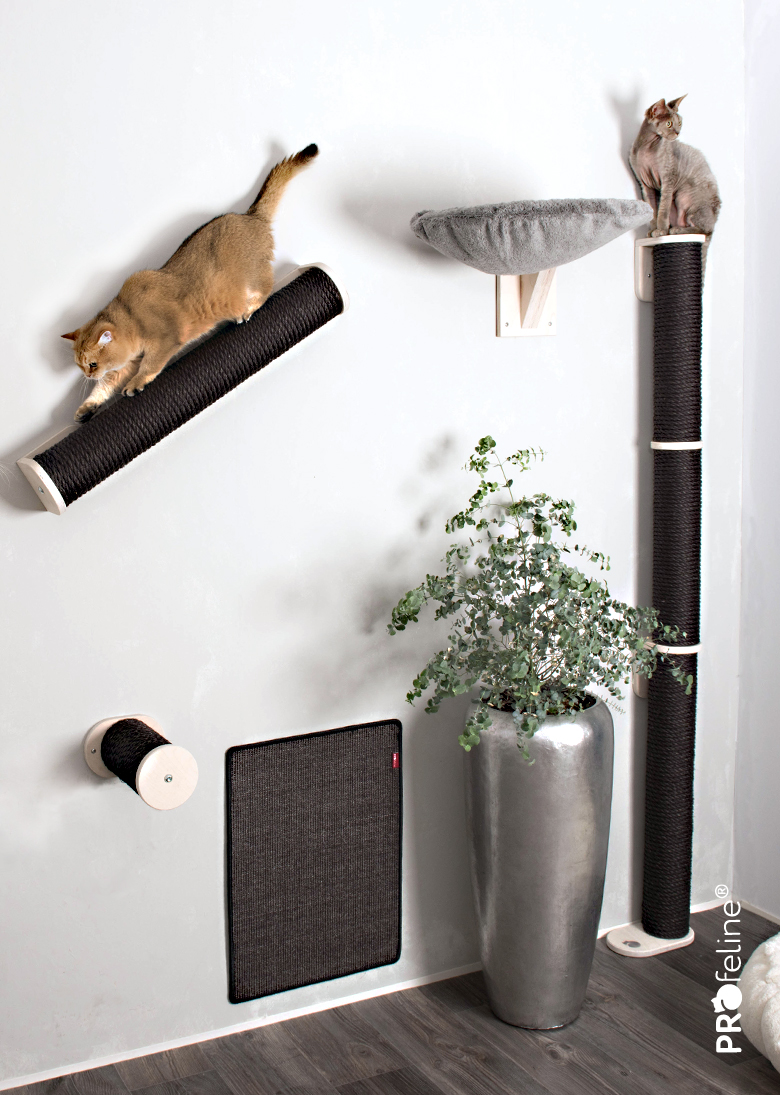 Katzen Kletterwand