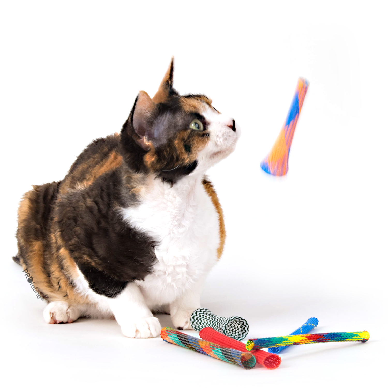 Kitty Boinks Mix das Original aus den USA Kitty Boinks Nylon Rollen Katzenspielzeug aus den USA