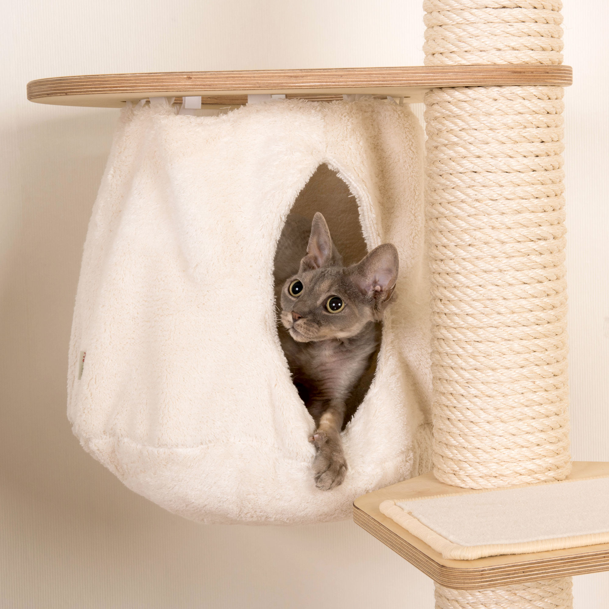 Kratzbaum Mulde natur