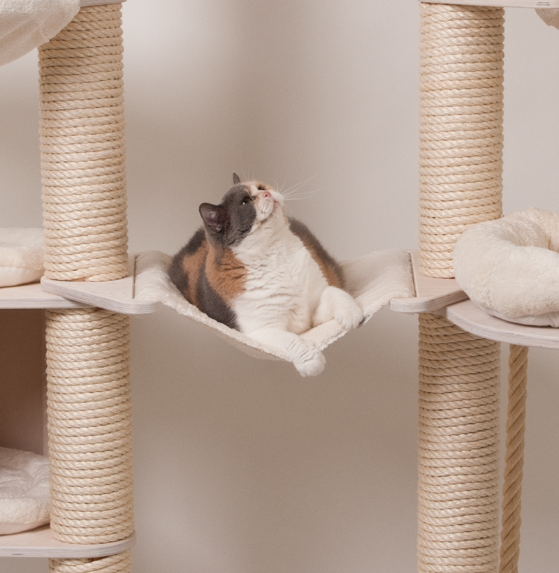 Katzen Hängematte natur