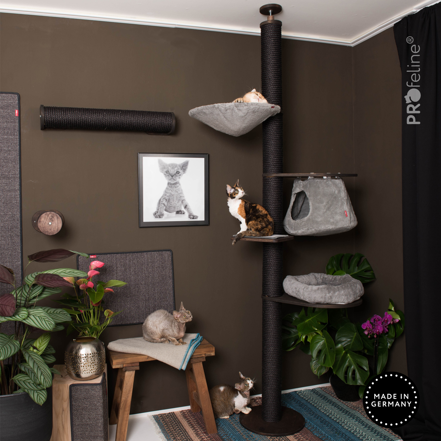 Deckenspanner Modell Gerda Deckenspanner Kratzbaum schwarz, grau waschbar