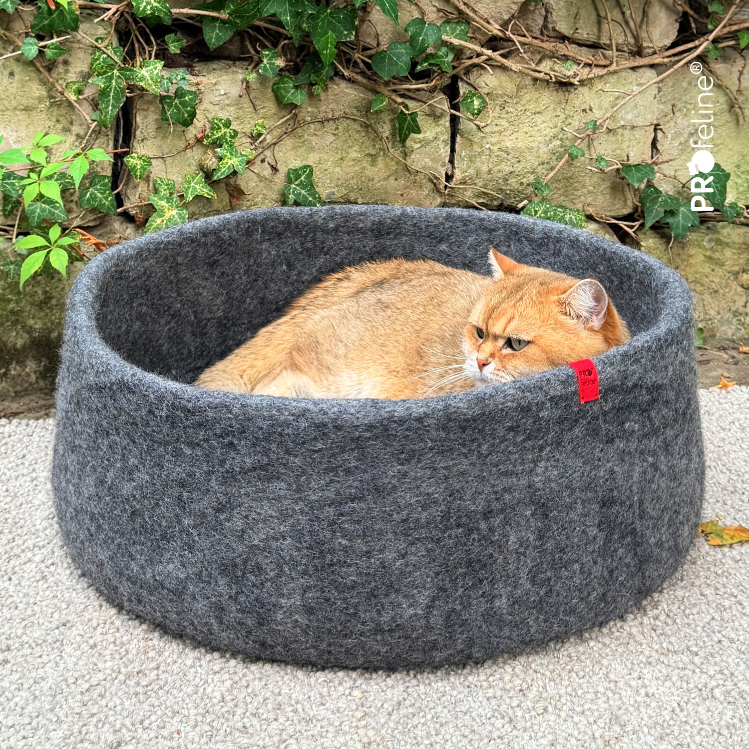 Felt Basket  - Handgefilztes Katzenbett / Anthrazit