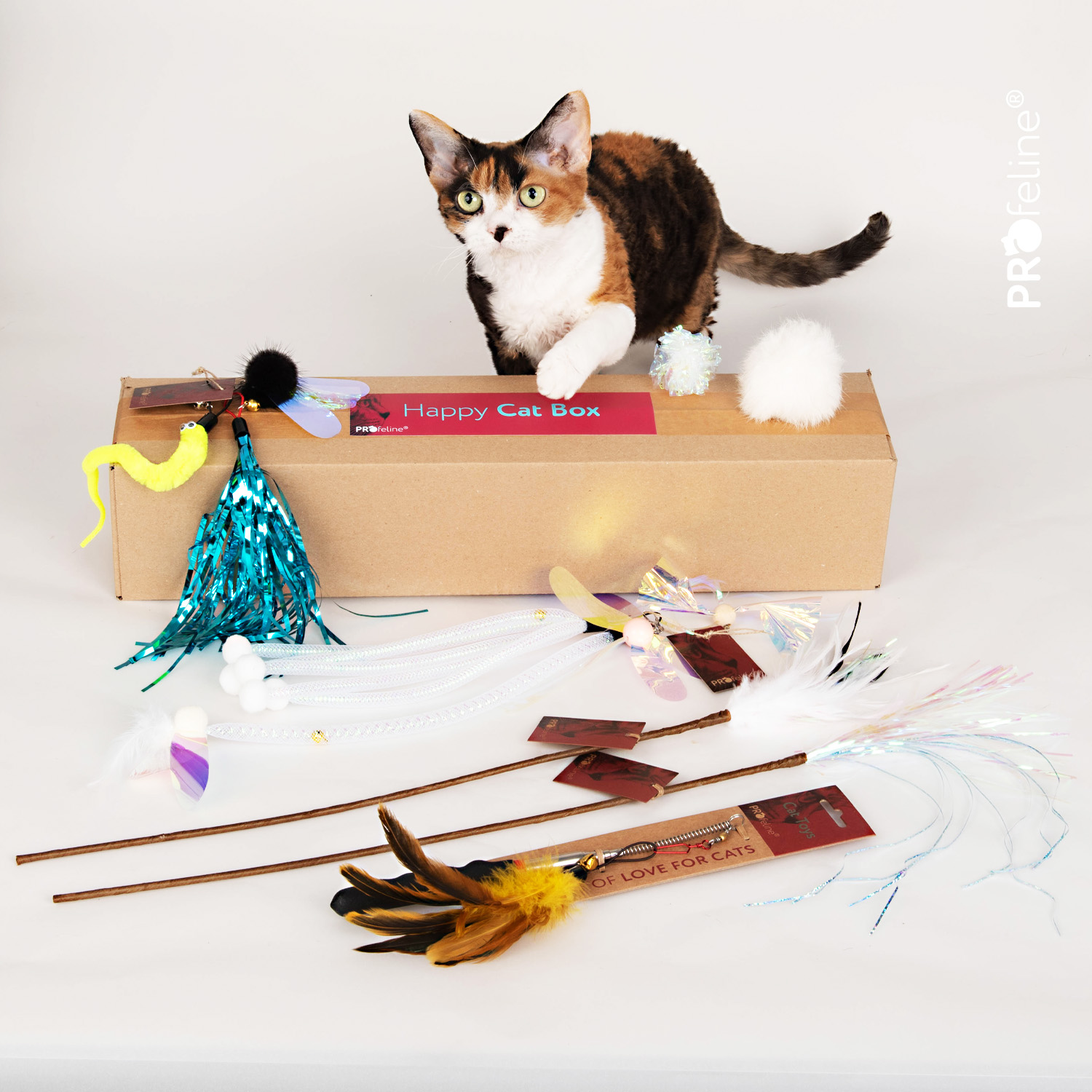 Katzenspielzeug Box Federwedel besonders